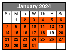 Washington DC in One Day: Guided Sightseeing Tour January Schedule
