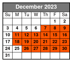 Glass Top/Open Top Luxury Bus December Schedule