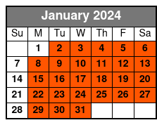 Glass Top/Open Top Luxury Bus January Schedule