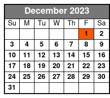 Washington DC Private Tour December Schedule