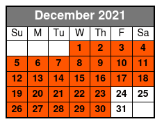 Best of DC VIP Tour December Schedule