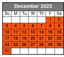 WASHINGTON.DC. 4 Hour Small Group Tour: 09:00 December Schedule