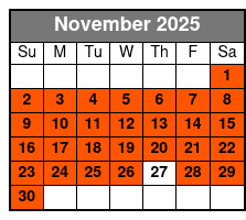 Memphis City & Sun Studio November Schedule