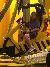 Be Amazed by the Pirates Voyage Dinner and Show
