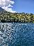Beautiful Scenery on the M.S. Dixie II Sightseeing and Sunset Dinner Cruises