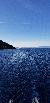 Absolutely Gorgeous Views from the M.S. Dixie II Sightseeing and Sunset Dinner Cruises