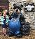 Bear at the Mountain Mall near Dolly Parton's Stampede Dinner Show Pigeon Forge