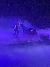 Seal in the Fog at Pirates Voyage Dinner and Show Pigeon Forge