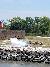 Watching the Cannons at the Savannah Riverboat Sightseeing, Lunch and Dinner Cruises