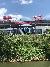 Nissan Stadium on the General Jackson Showboat Lunch and Dinner Cruises