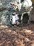 Penguin Pic at Ripleys Aquarium of the Smokies