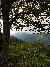 Beautiful Forrest around Dolly Parton's Stampede Dinner Show Pigeon Forge