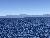 Lake Tahoe with the M.S. Dixie II Sightseeing and Sunset Dinner Cruises