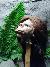 Head on a Stake at Ripley's Believe It or Not Museum