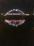 Lit Up Bridge on the General Jackson Showboat Lunch and Dinner Cruises