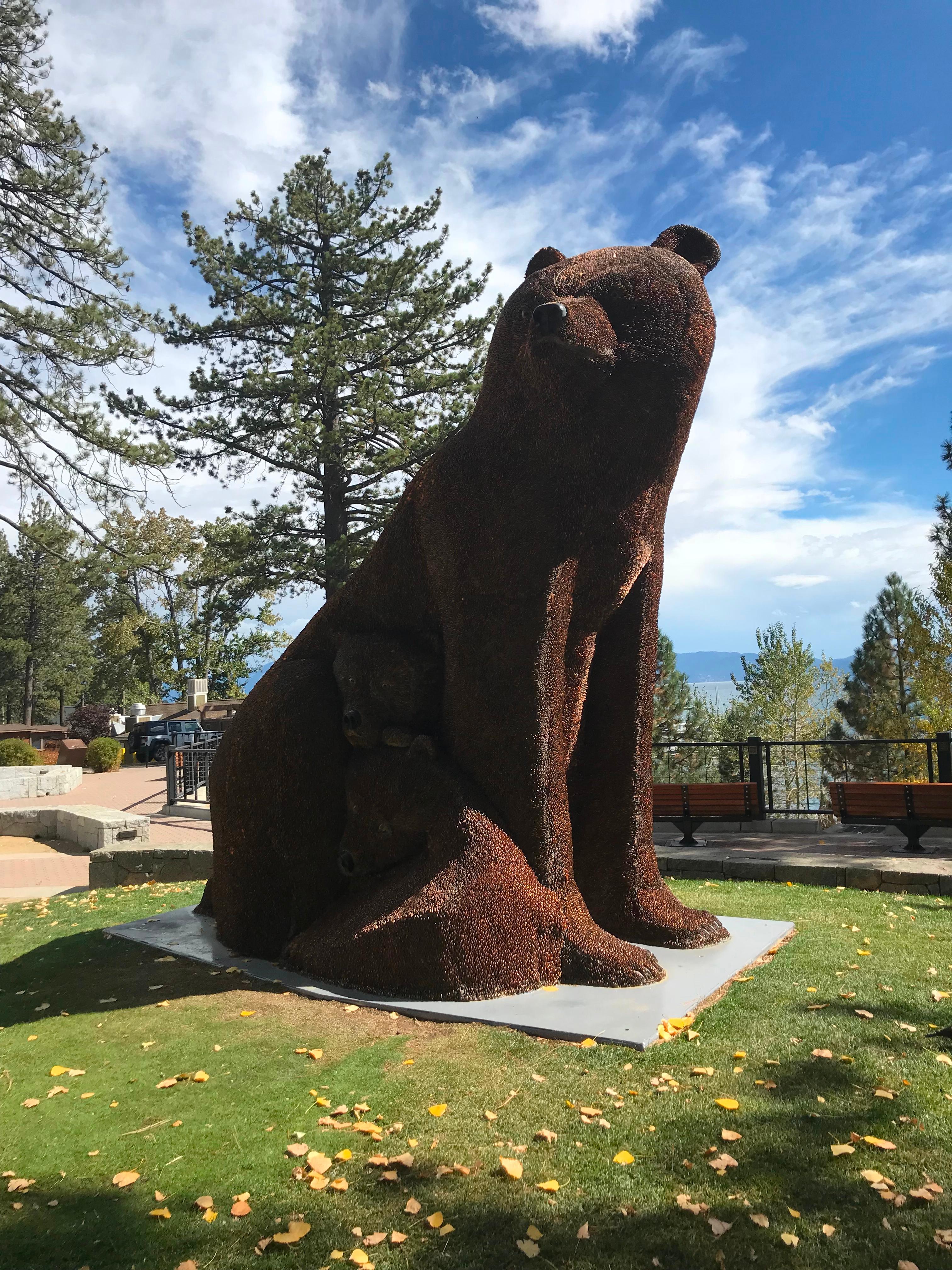Bear Hedge with the Around the Lake Tahoe Tour