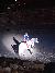 Man on Horse Performing at Dolly Parton's Stampede Dinner Show Pigeon Forge