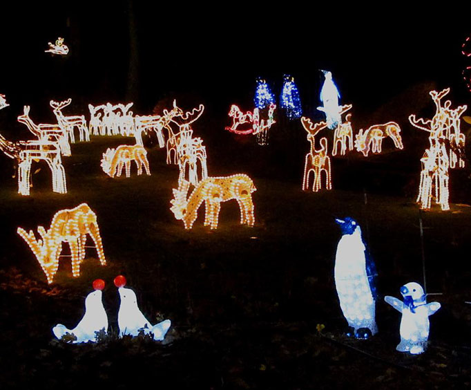woolaroc christmas lights iron blog woolaroc christmas lights iron blog