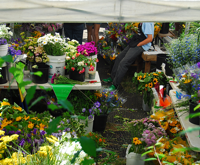 Pee Dee Plant & Flower Festival in Florence near Myrtle Beach, SC
