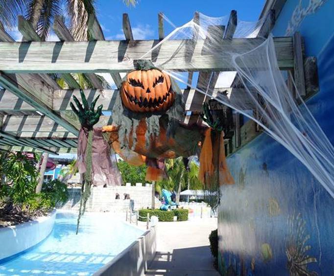 Rapids Screams At Water Park In West Palm Beach Fl