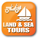 Category Icon