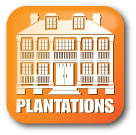 Category Icon