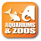 Category Icon