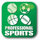 Category Icon
