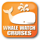 Category Icon