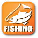 Category Icon