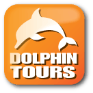 Category Icon