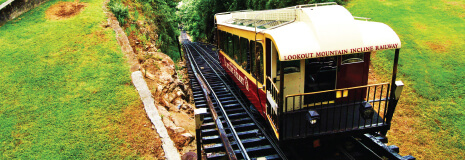 Category Photo