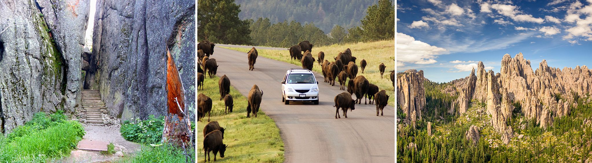 Custer State Park