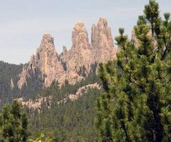 The black hills in South Dakota