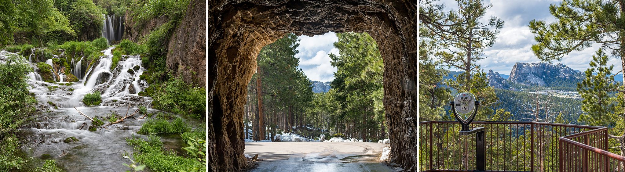 Black Hills National Forest