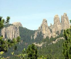 The Black Hills National Forest near Mount Rushmore, SD