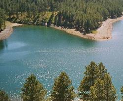 The Black Hills National Forest near Mount Rushmore, SD
