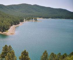 The Black Hills National Forest near Mount Rushmore, SD