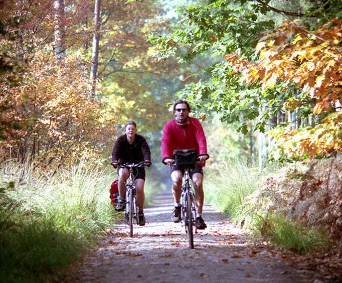 National & City Parks