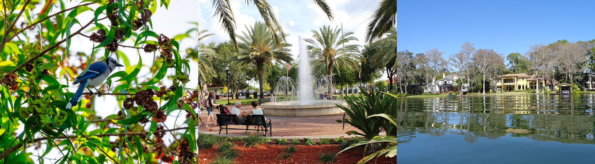 Central Park