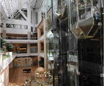 Shopping Area