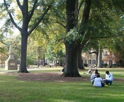 The quad
