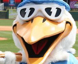Pelicans mascot