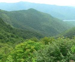 Appalachian Mountains on a foggy day