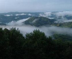 Appalachian fog