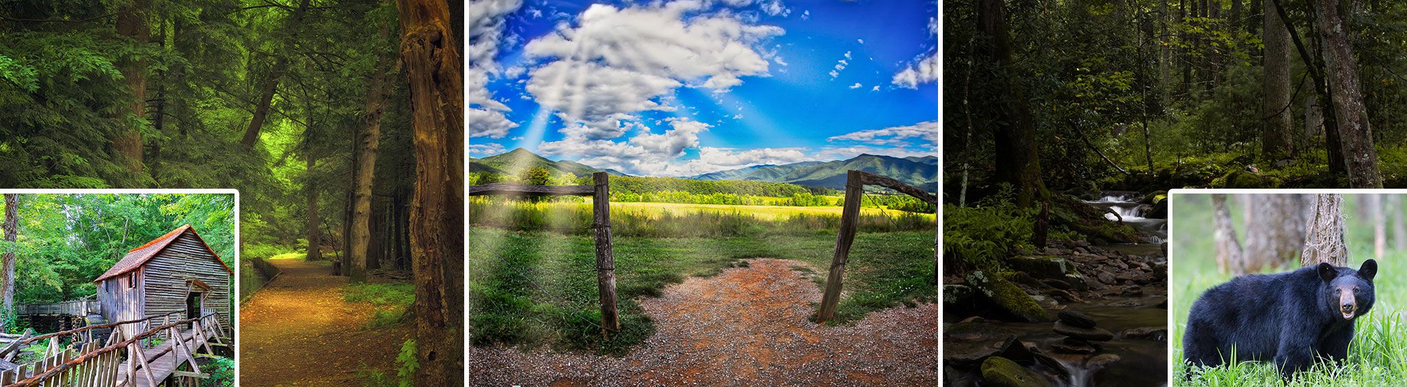 Cades Cove
