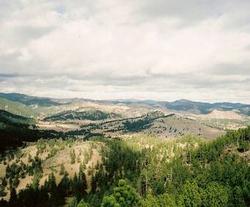Sky view of the park