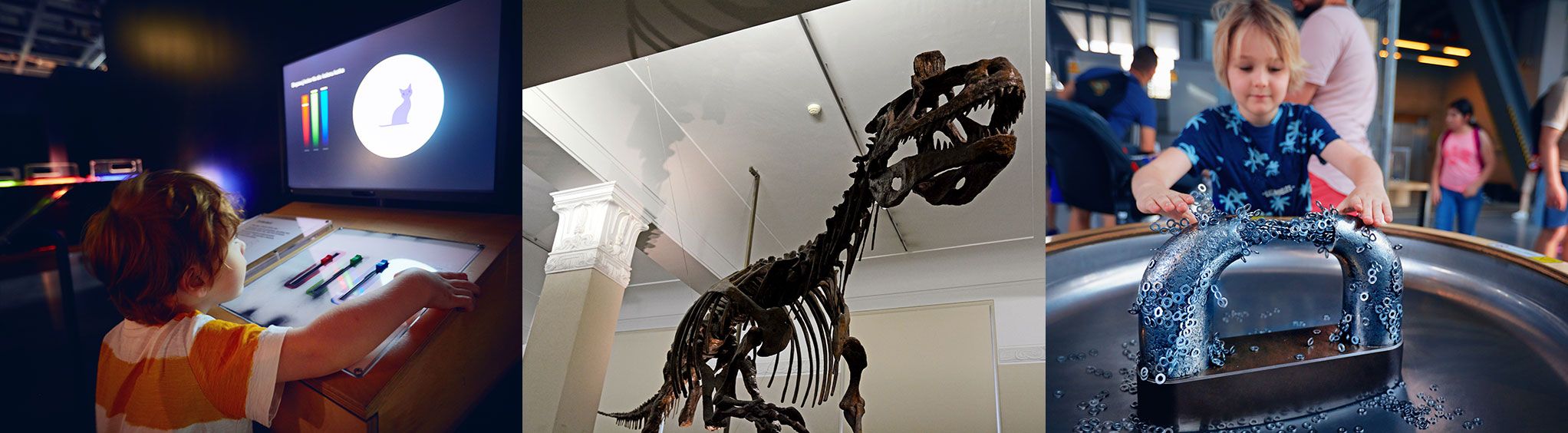 Savannah Science Museum