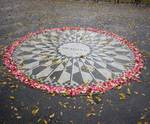 Imagine decoration Imagine decoration