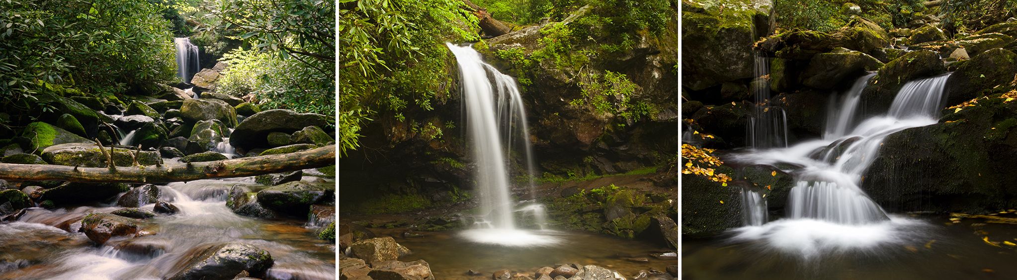 Grotto Falls at Great Smoky Mountains National Park
